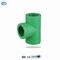 Pièce en t en plastique de montage de tuyau de la couleur verte PPR