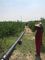 Système d'irrigation d'approvisionnement en eau de tuyau poly rural de 40mm 50mm